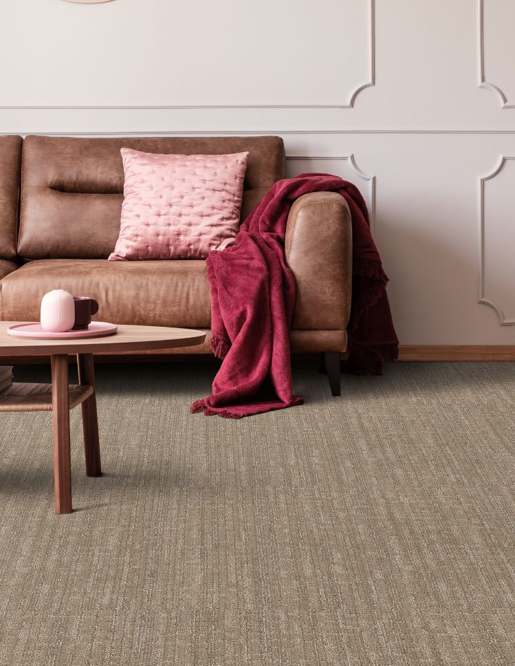 textured beige carpets in a NC living room