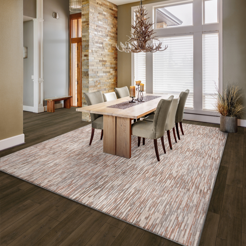 area rug in living room